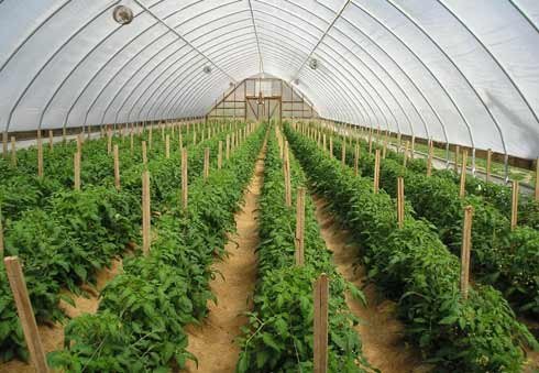 ความเชื่อมโยงระหว่างรัฐกับเกษตรกร นักวิทยาศาสตร์และผู้ประกอบการช่วยพัฒนาการเกษตร